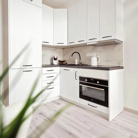 Apartment Edvin Loft X Free Parking *