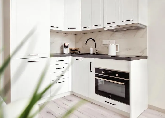 Apartament Edvin Loft X Free Parking *