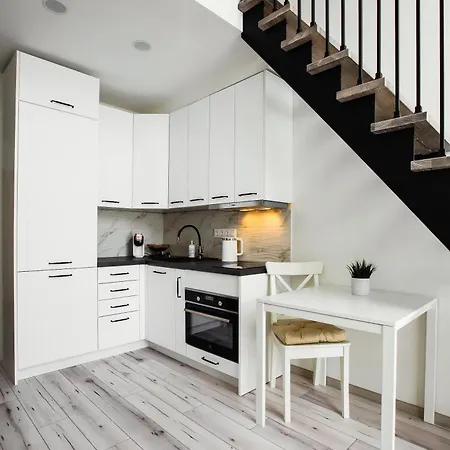 Lägenhet Edvin Loft X Free Parking Vilnius