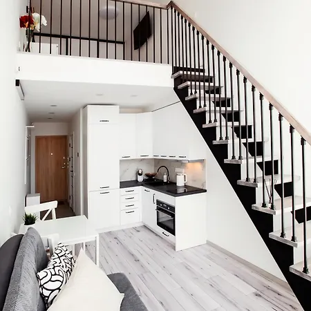 Appartement Edvin Loft X Free Parking Vilnius